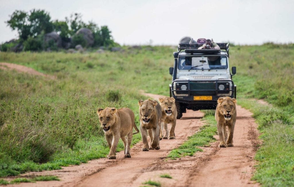 Parque Nacional da Gorongosa