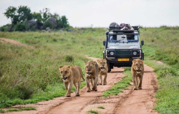 Gorongosa National Park