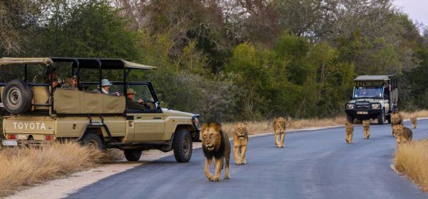 Limpopo National Park