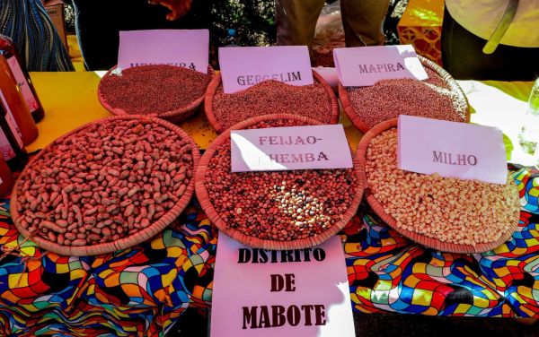 INHAMBANE LANÇA MARCA “DESTINO DE EXCELÊNCIA”, INAUGURA CENTRO DE POTENCIALIDADES E REFORÇA APOSTA NO INVESTIMENTO